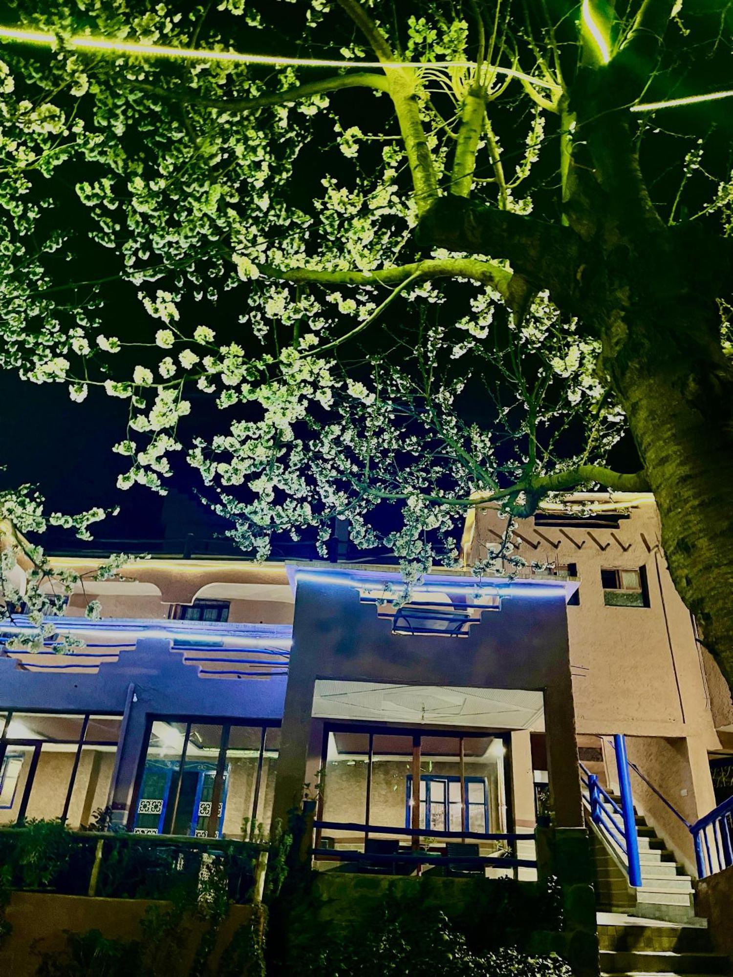 Auberge De La Vallee Imlil  Exterior photo